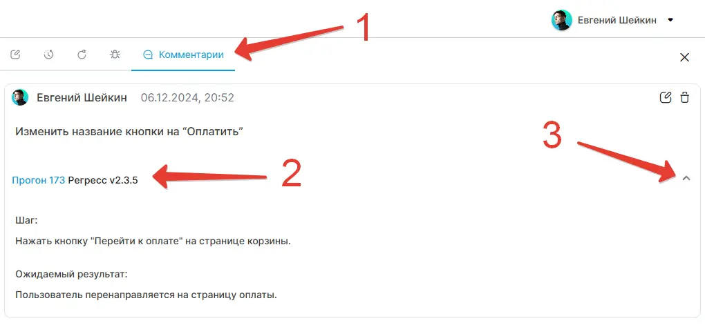 Отображение комментария в плеере прогона